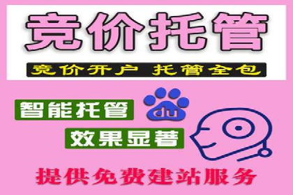 托管竞价SEM实战案例分享